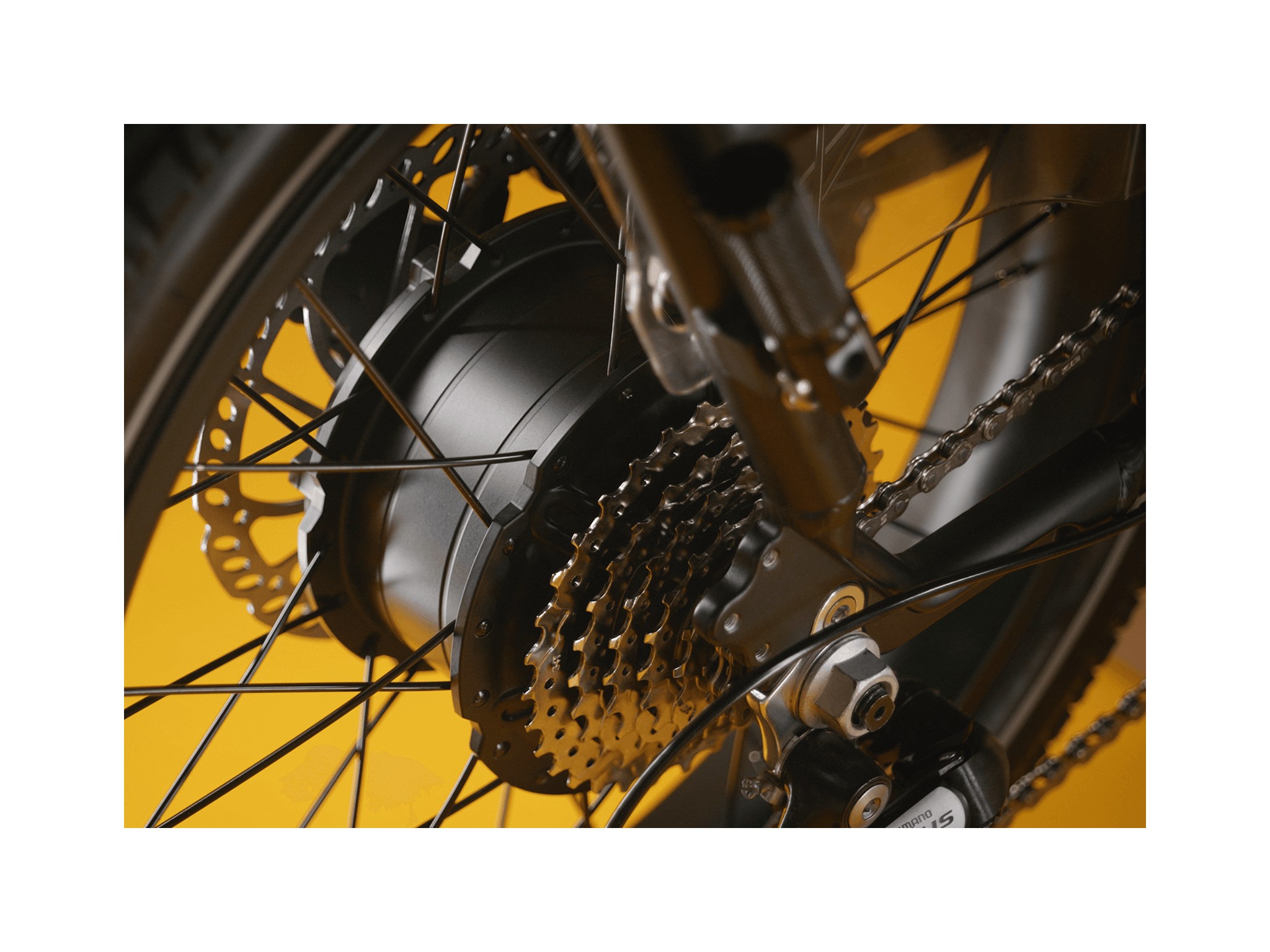 RadRunner Max — pormenor do motor e cassete traseira